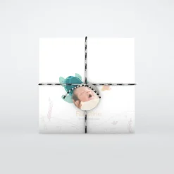 Faire-part Naissance Animaux | Faire-part Naissance Fille^Planet cards Petite Tortue Fille
