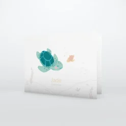 Faire-part Naissance Animaux | Faire-part Naissance Fille^Planet cards Petite Tortue Fille