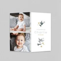 Faire-part Baptême Champêtre | Faire-part Baptême Garçon^Planet cards Petites Colombes et Branches Garçon