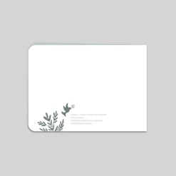 Faire-part Baptême Champêtre | Faire-part Baptême Garçon^Planet cards Petites Colombes et Branches Garçon