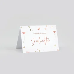 Marque-place Baptême^Planet cards Petites fleurs champêtres