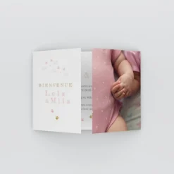 Faire-part Naissance Animaux | Faire-part Naissance Jumeaux^Planet cards Petits Chatons