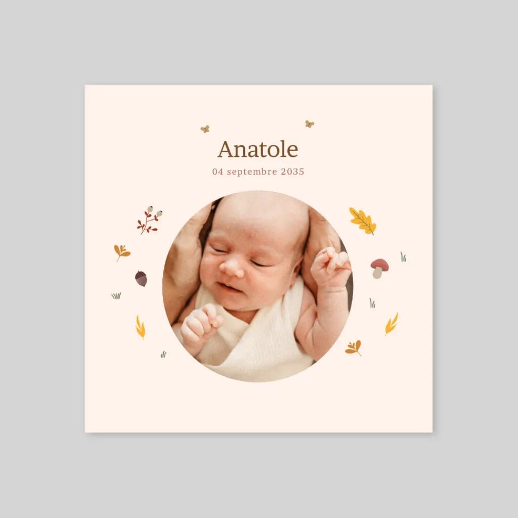 Faire-part Naissance Fille | Faire-part Naissance Garçon^Planet cards Photo et ronde de l'automne