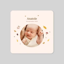 Faire-part Naissance Fille | Faire-part Naissance Garçon^Planet cards Photo et ronde de l'automne