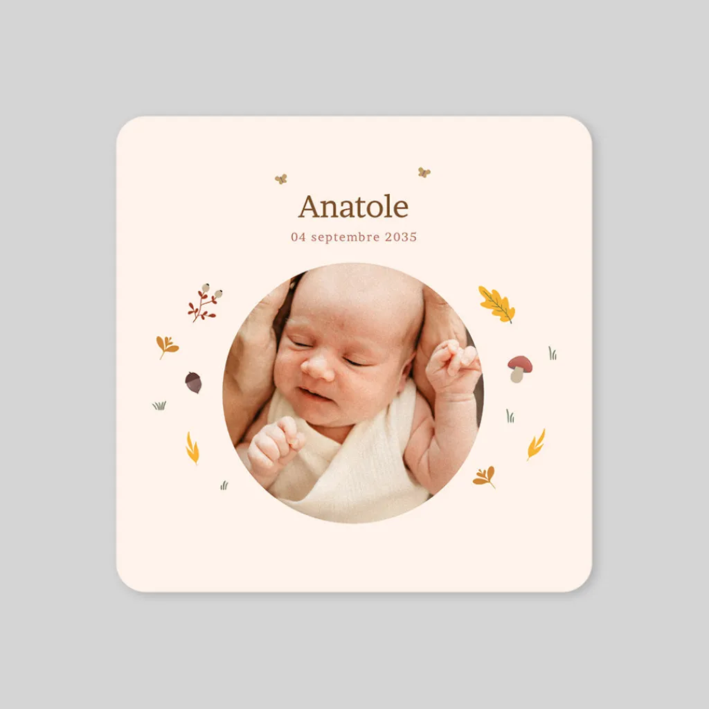 Faire-part Naissance Fille | Faire-part Naissance Garçon^Planet cards Photo et ronde de l'automne