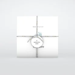 Faire-part Naissance Garçon^Planet cards Pieds Bleus