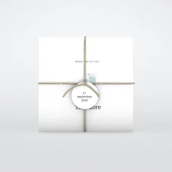Faire-part Naissance Garçon^Planet cards Pieds Bleus