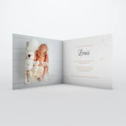 Gamme Complète^Planet cards Plumes Et Etoiles