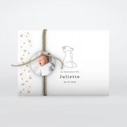 Faire-part Naissance Animaux^Planet cards Renard et Cadre Liberty
