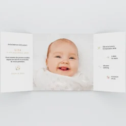 Faire-part Naissance Animaux^Planet cards Renard et Cadre Liberty