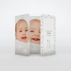 Faire-part Naissance Animaux^Planet cards Renard et Cadre Liberty