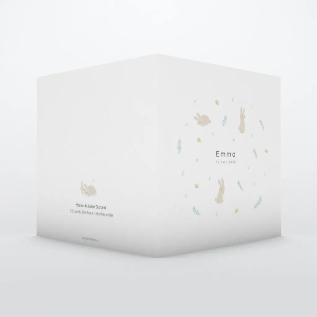 Faire-part Naissance Animaux^Planet cards Ronde de Lapins