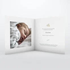 Faire-part Naissance Animaux^Planet cards Ronde de Lapins