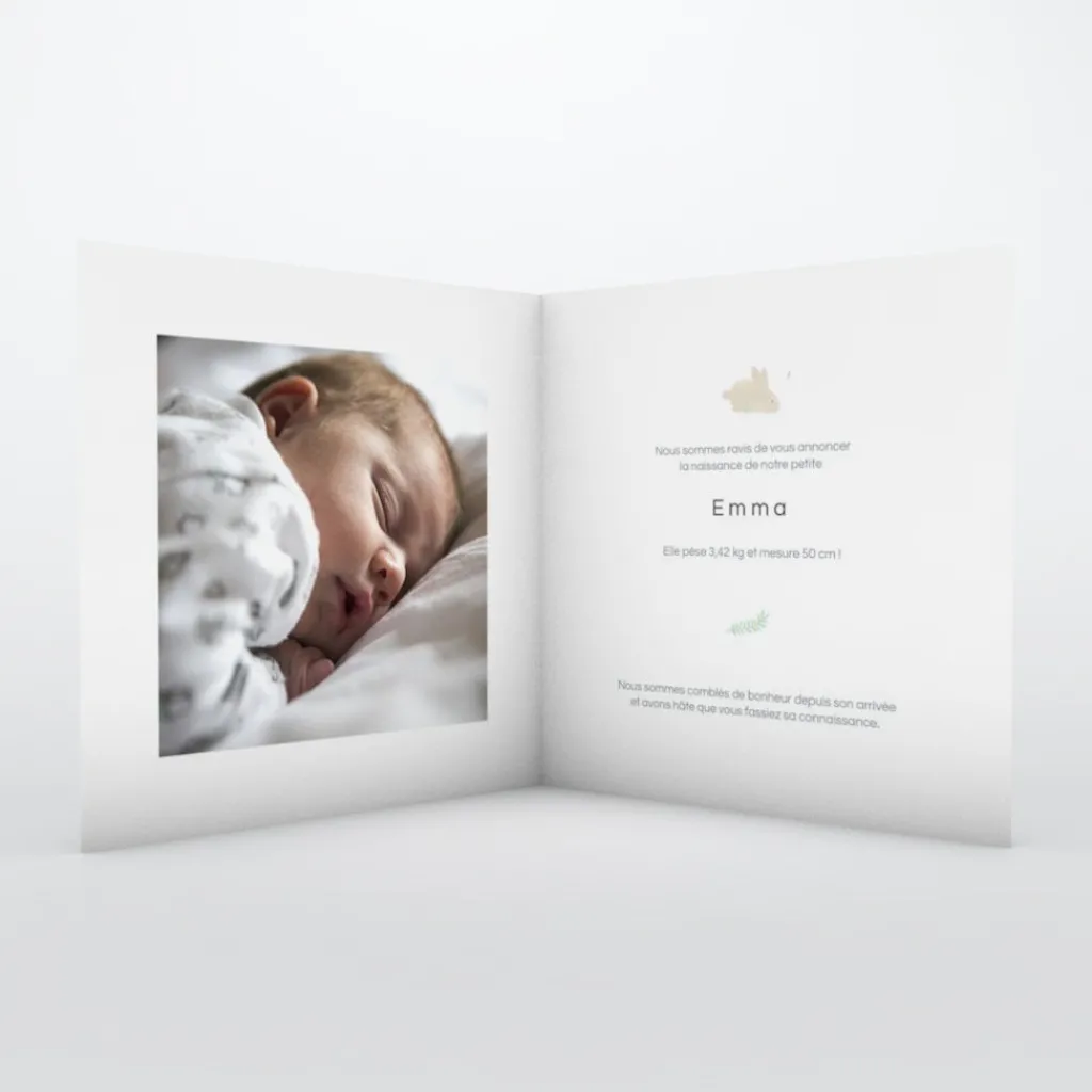Faire-part Naissance Animaux^Planet cards Ronde de Lapins