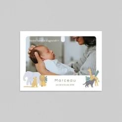 Faire-part Naissance Animaux | Faire-part Naissance Fille^Planet cards Safari