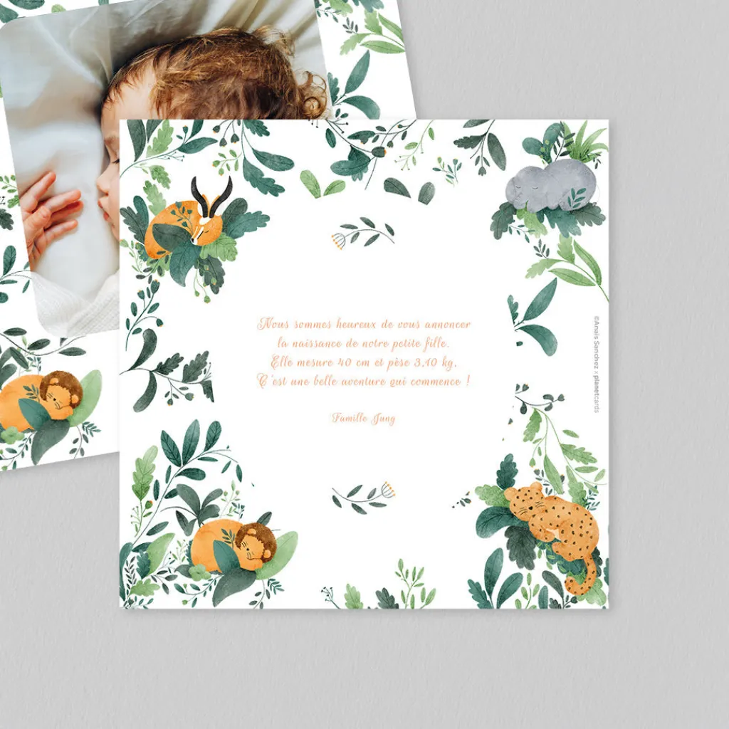 Faire-part Naissance Animaux | Créations En Collaboration^Planet cards Savane Endormie