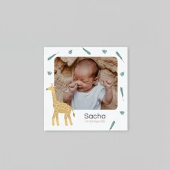 Faire-part Naissance Animaux | Faire-part Naissance Garçon^Planet cards Savane et Girafe