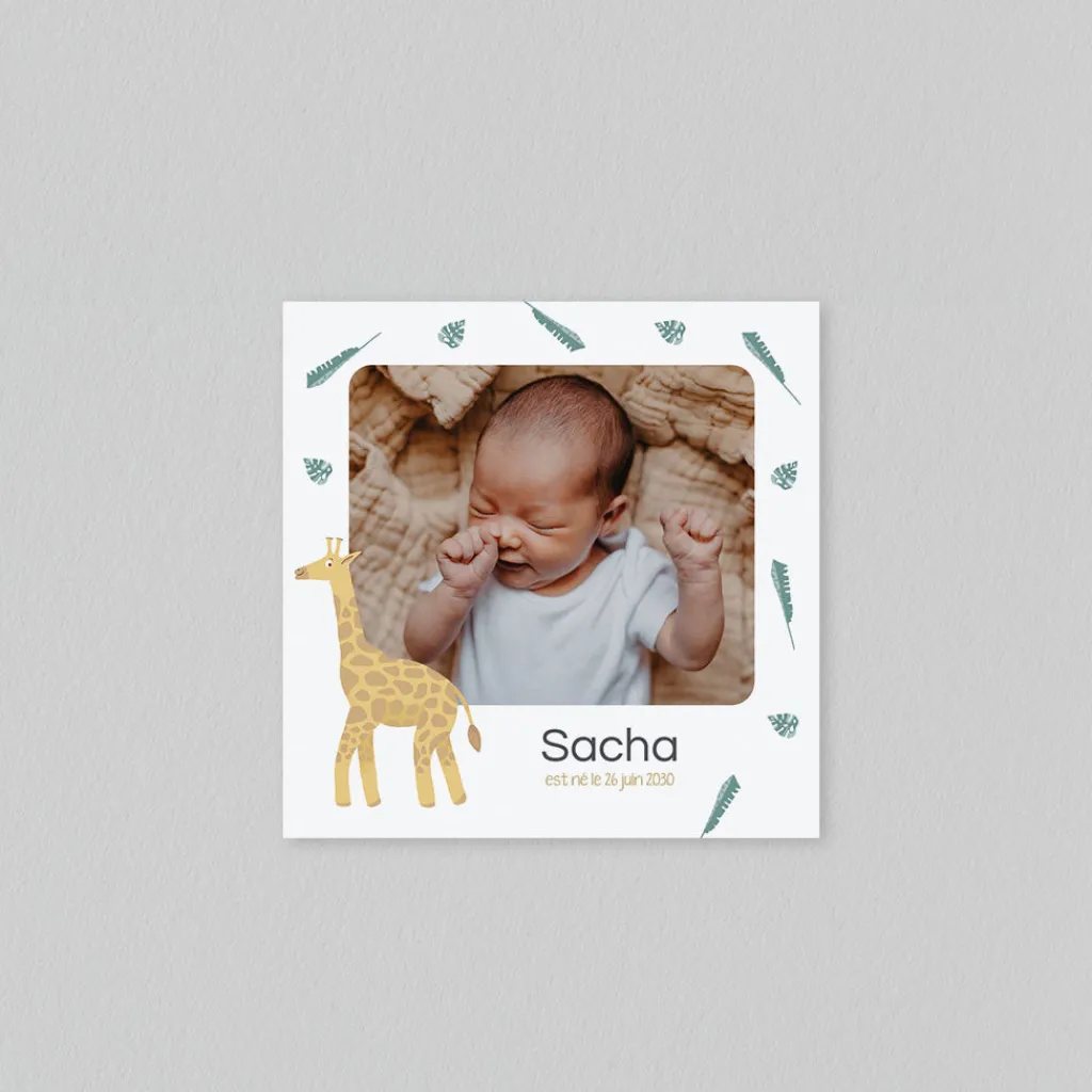 Faire-part Naissance Animaux | Faire-part Naissance Garçon^Planet cards Savane et Girafe