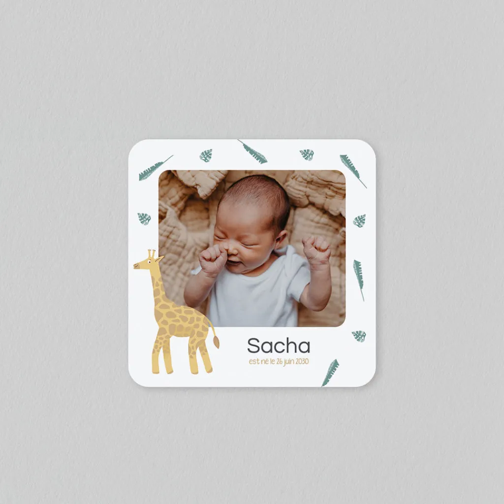 Faire-part Naissance Animaux | Faire-part Naissance Garçon^Planet cards Savane et Girafe
