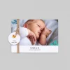 Faire-part Naissance Animaux | Créations En Collaboration^Planet cards Tiwipi Renard