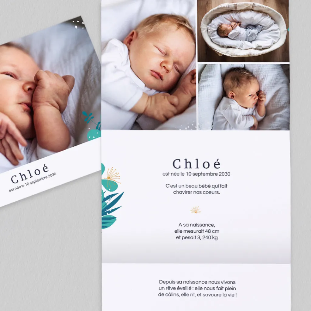 Faire-part Naissance Animaux | Créations En Collaboration^Planet cards Tiwipi Renard